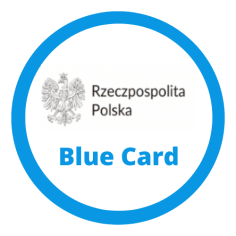 Получение Blue Card